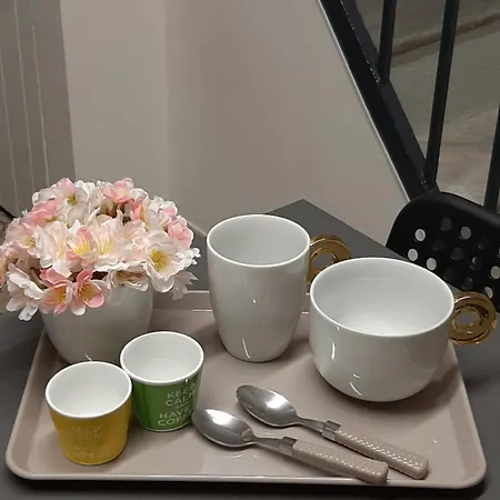 Palmieri Cit Apartment Turin