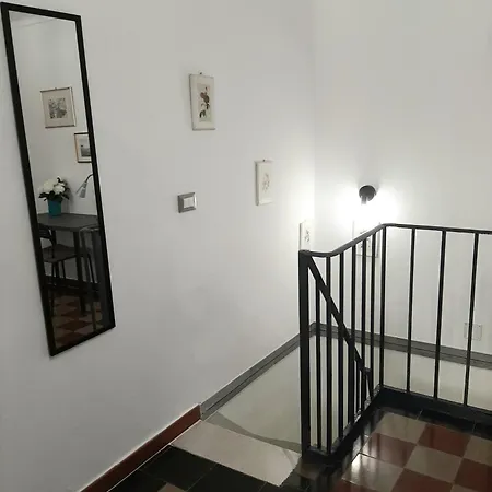 Palmieri Cit Torino