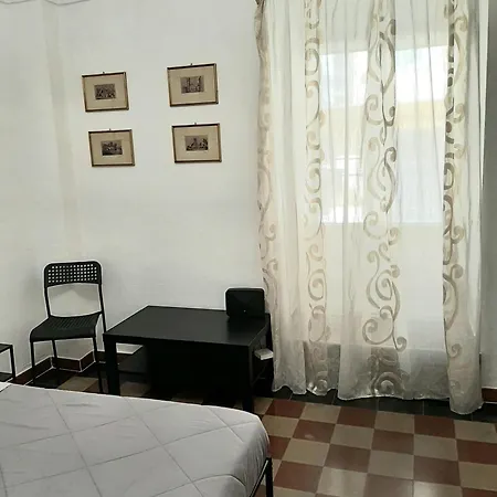 Palmieri Cit Torino