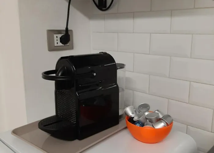 Palmieri Cit *
