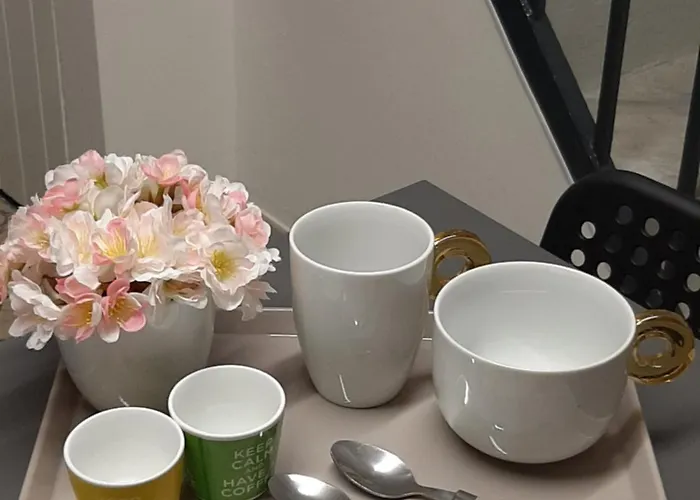 Palmieri Cit Lejlighed Torino